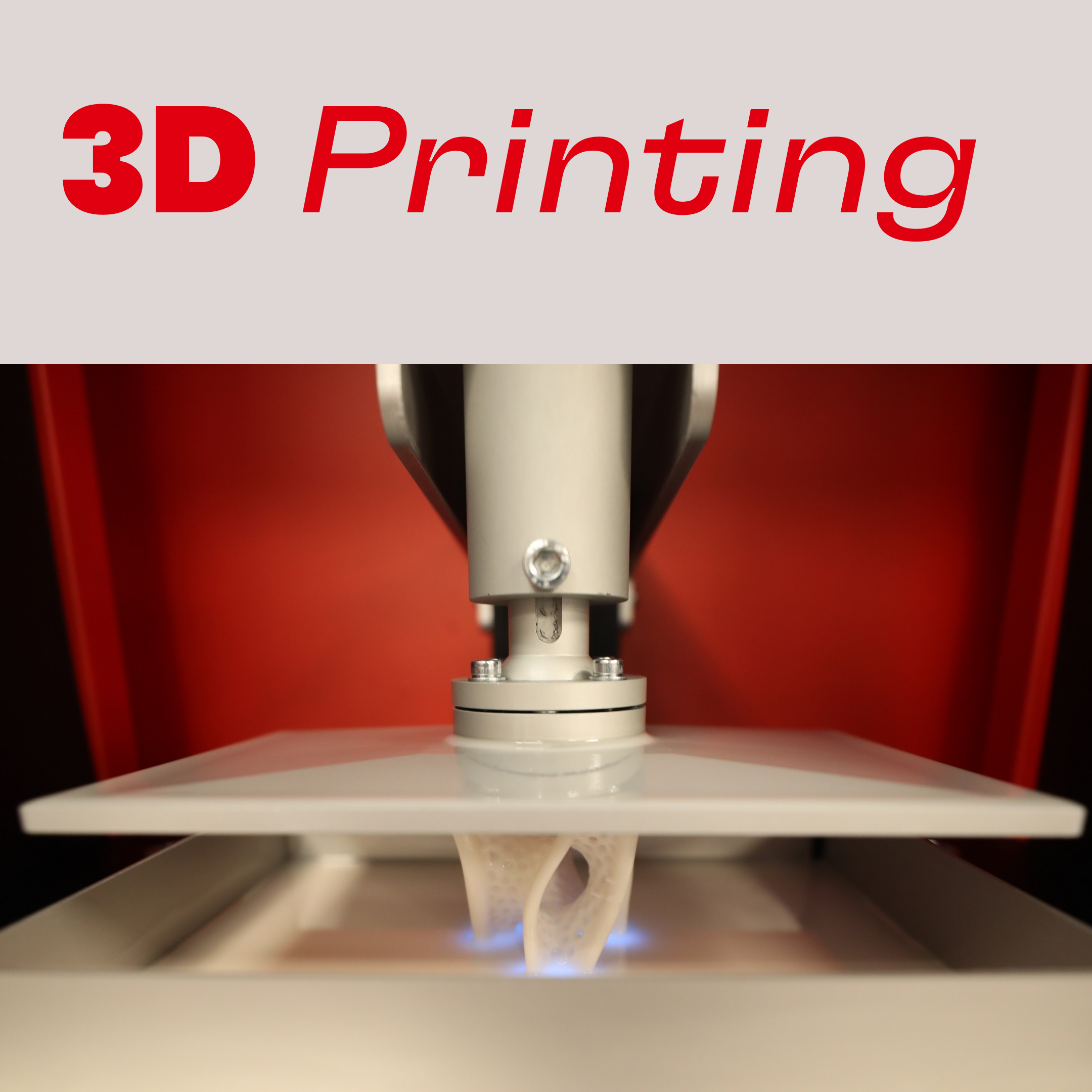 3D Printing