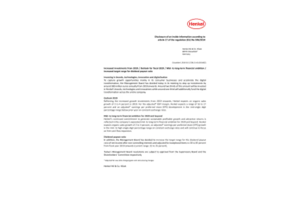 2019-01-21-adhoc-EN-COM-PDF.pdfPreviewImage